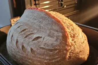 Warsztaty pieczenia chleba na zakwasie