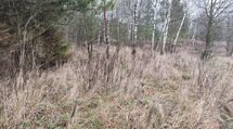 Urokliwa działka, 1404m2, KARAKULE