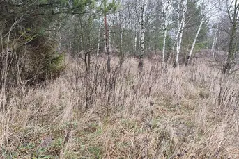 Urokliwa działka, 1404m2, KARAKULE