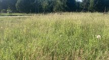 W najlepszej cenie 5 km za Białymstokiem od wlasci