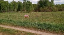 szer13m dł184m WZ 39tysPloski28km B-stok 666726744