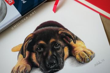 Portret pieska, kota, zwierzaka ze zdjęcia. Pastele, różne formaty.