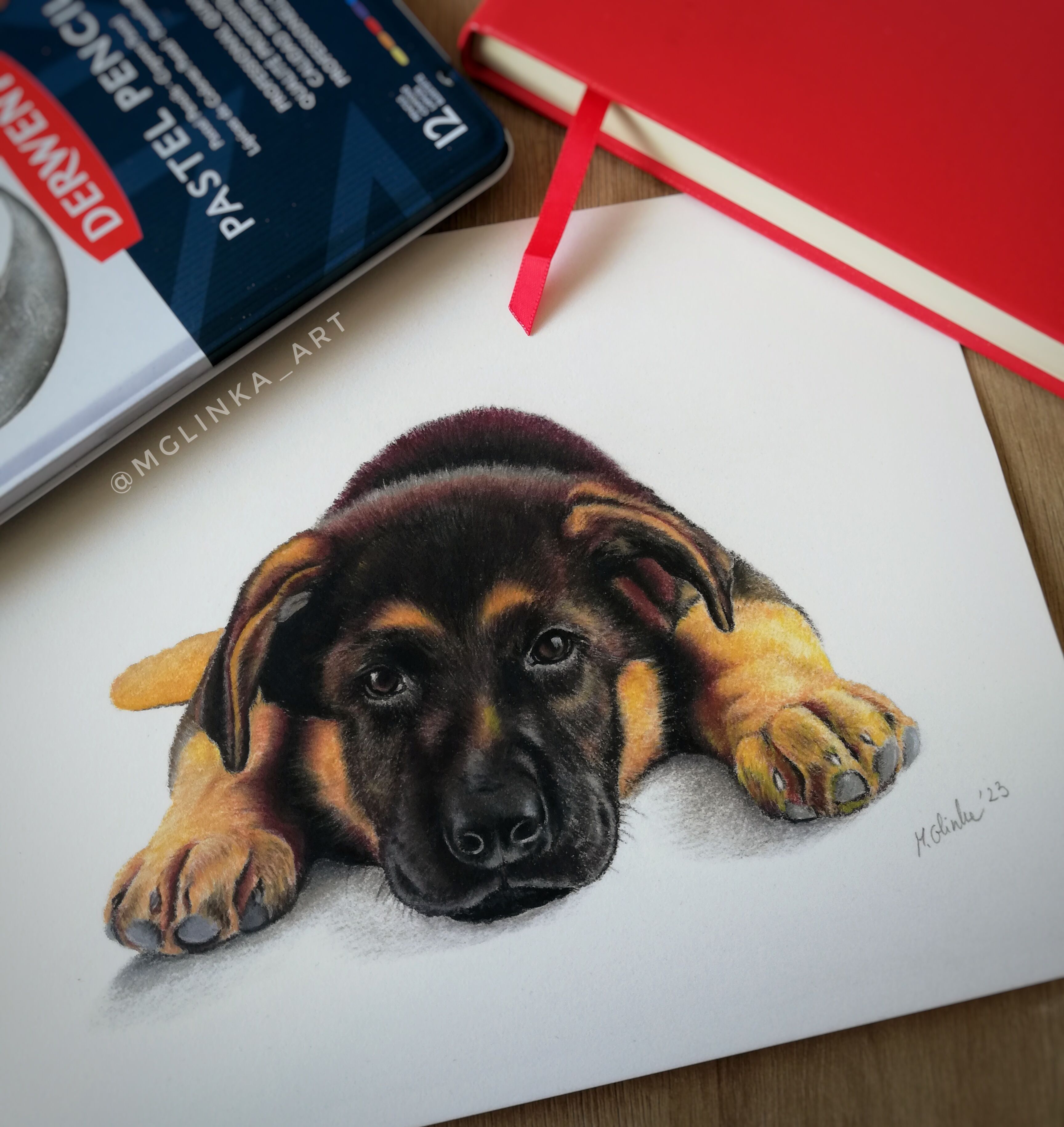Portret pieska, kota, zwierzaka ze zdjęcia. Pastele, różne formaty.