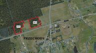 Sprzedam 60 letni las w Przechodach, gm. Gródek. 36 853 m²