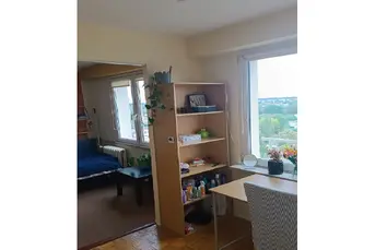 Pokój, os. Piasta, ostatnie 11 piętro, super widok