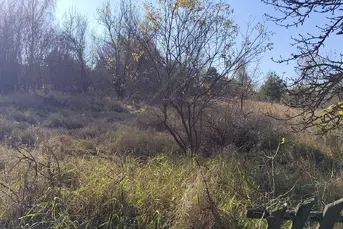 Działka rolna o pow. 8,28 ha, gm. NAREW