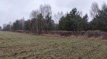 Duża działka rolna - 38ha, PLUTYCZE, gm. Bielsk P.