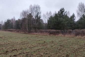 Duża działka rolna - 38ha, PLUTYCZE, gm. Bielsk P.