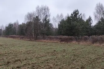 Duża działka rolna - 38ha, PLUTYCZE, gm. Bielsk P.