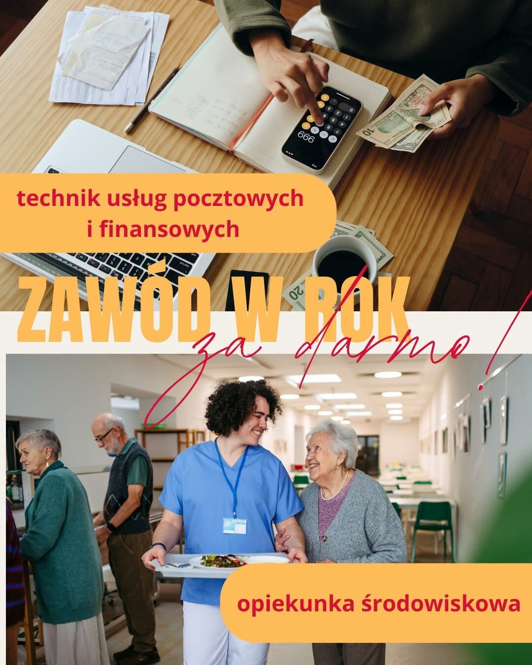 Zdobądź nowy zawód w zaledwie rok !