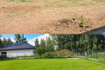Zakładanie i renowacja trawników.
