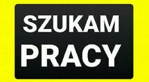 Szukam Pracy na stanowisku 