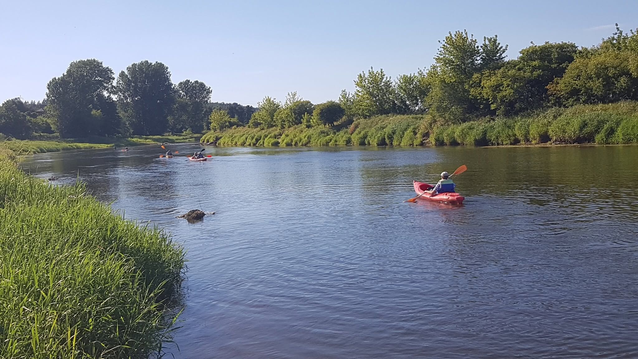 Spływy kajakowe rzeką  Narew – Łomża (tylko 1 godz. z Białegostoku!)