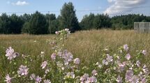 Działka budowlana 1100m Białystok 5km