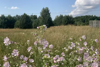 Działka budowlana 1100m Białystok 5km