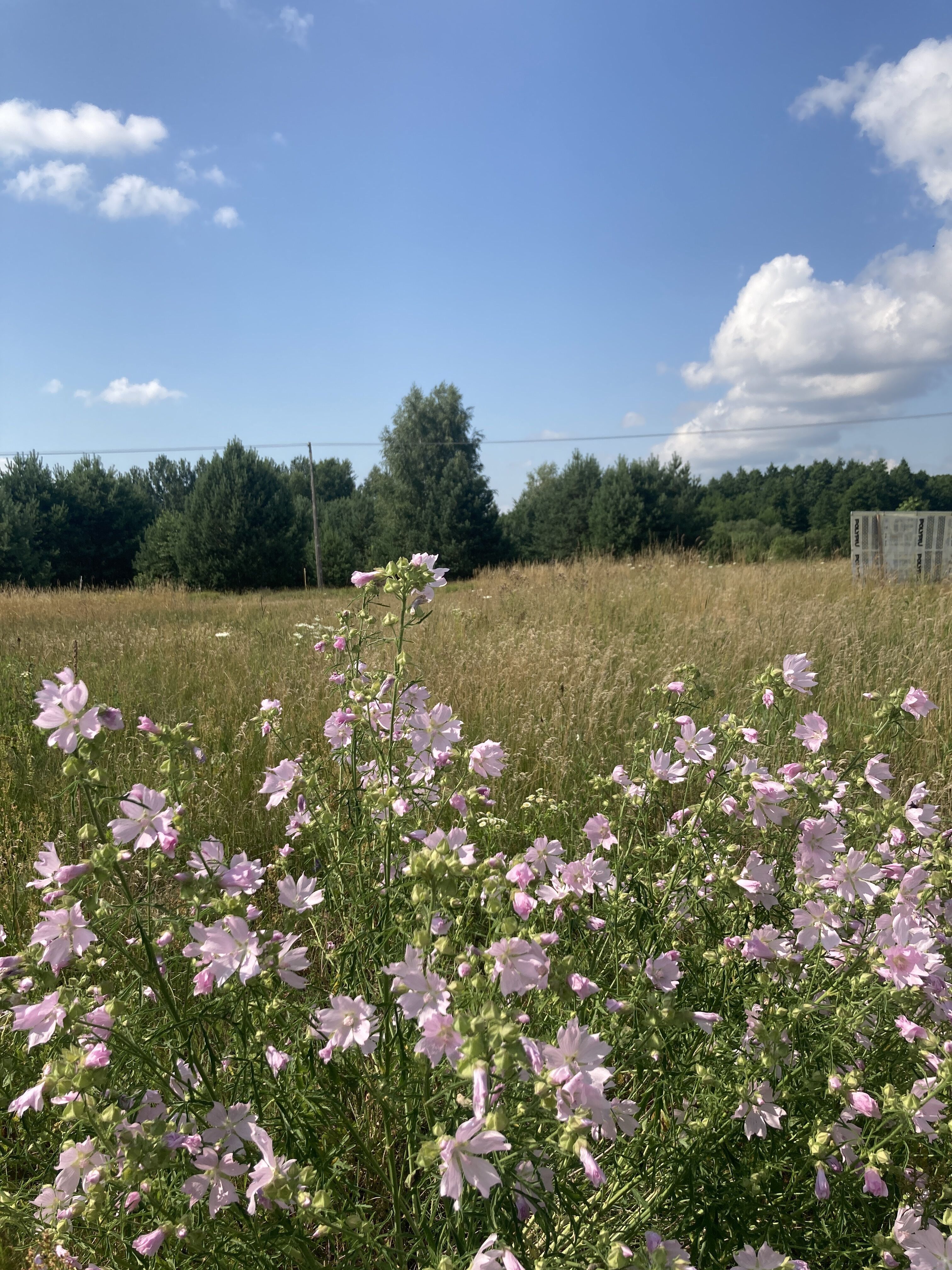 Działka budowlana 1100m Białystok 5km