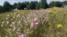 Atrakcyjne budowlane z wz koło Białegostoku