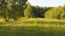 Działka rolno-leśna o pow. 1,45 ha, gm. NAREWKA