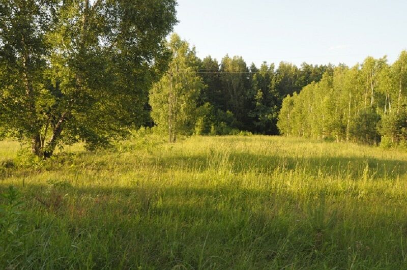 Działka rolno-leśna o pow. 1,45 ha, gm. NAREWKA