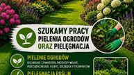 Szukamy pracy pielenie ogrodów 