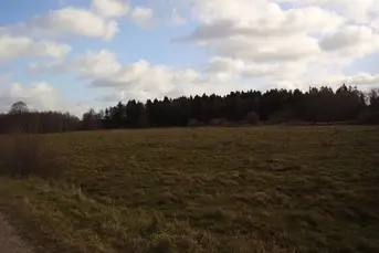 Duża działka rolna - 38ha, PLUTYCZE, gm. Bielsk P.