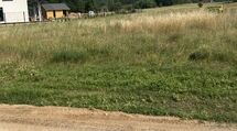 Budowlana z warunkami zabudowy 5 km za Białymstoki