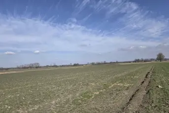 Sprzedam ziemię rolną, łąkę, las