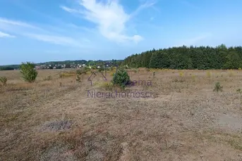 STUDZIANKI Z WARUNKAMI ZABUDOWY, 160zł/m2