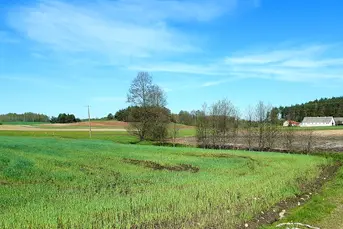 Sprzedam działkę Sokolany - 2000m2