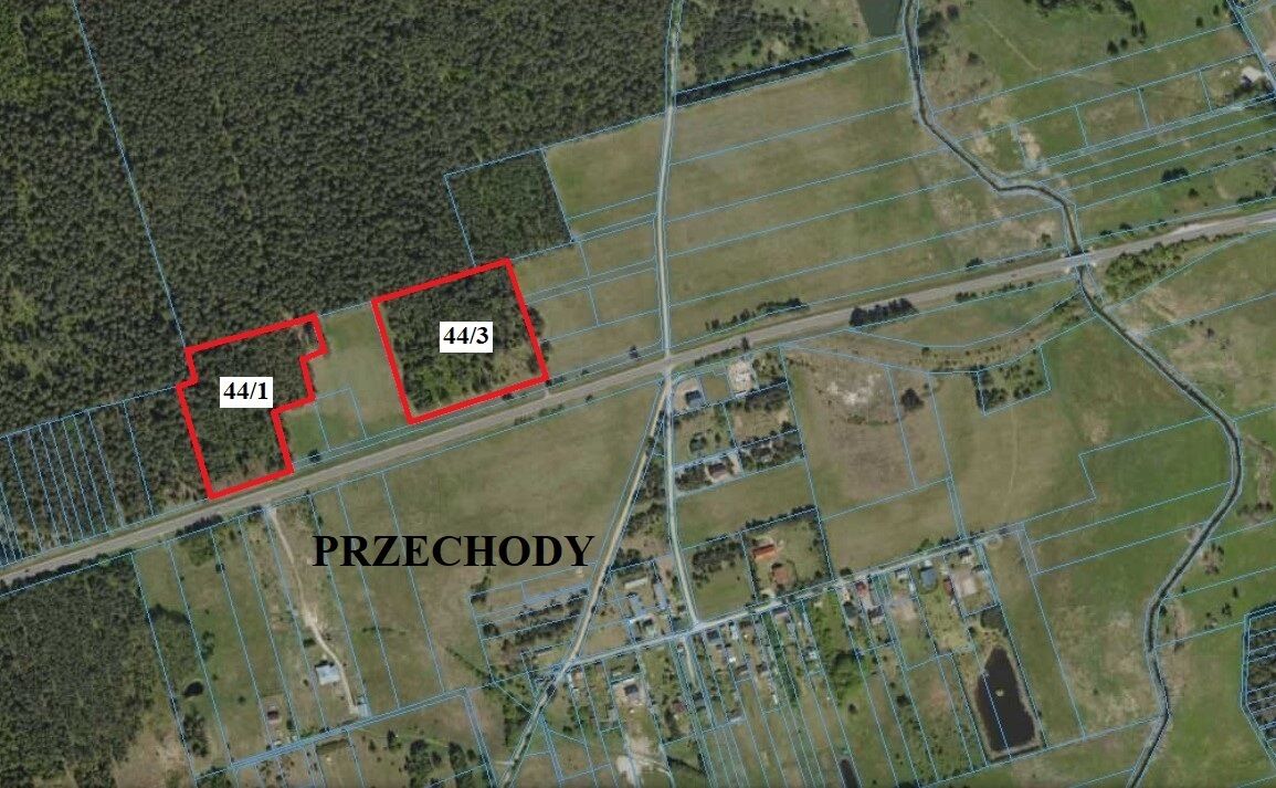 Sprzedam 60 letni las w Przechodach, gm. Gródek