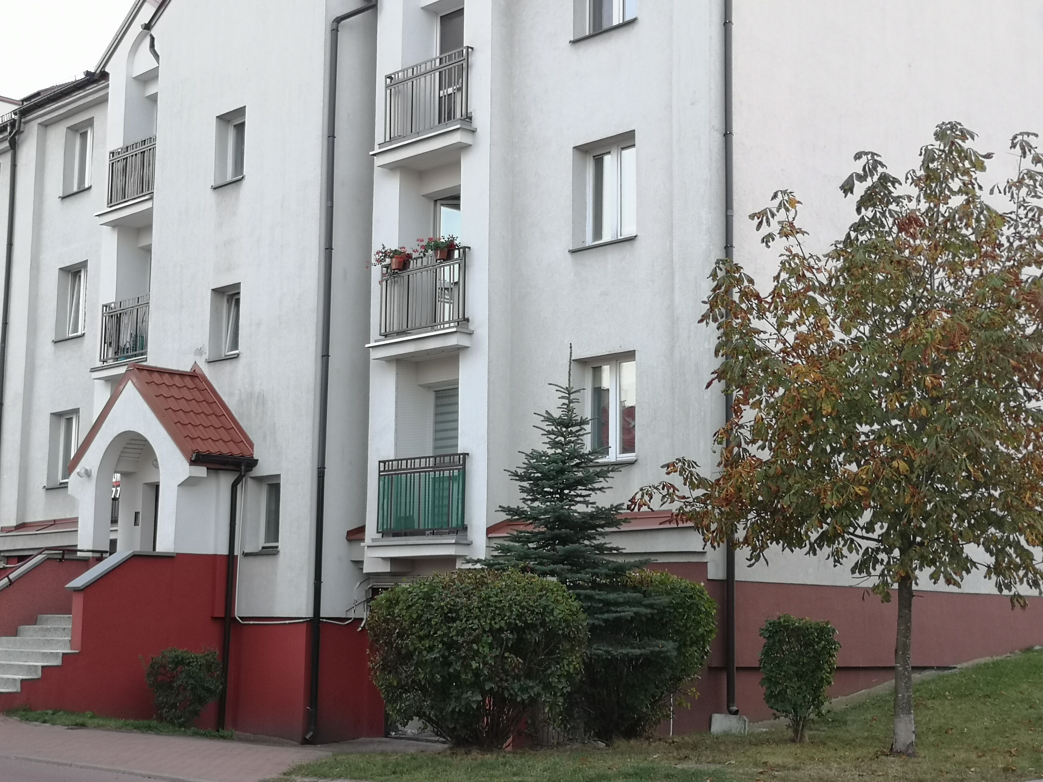 3-pokojowe (56m2) zadbane na Nowym Mieście