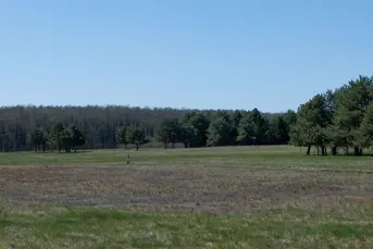 Działka rolna o pow. 5 ha, PIEŃKI, gm. MICHAŁOWO