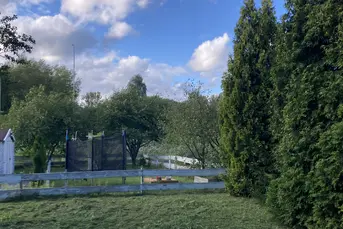 Rekreacyjna działka ROD na ul Ciołkowskiego 