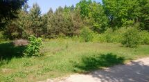 Działka rolna o pow. 1,9 ha, gm. GRÓDEK