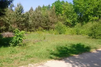 Działka rolna o pow. 1,9 ha, gm. GRÓDEK