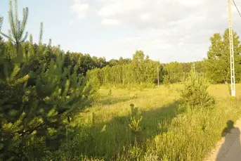 Działka rolno-leśna o pow. 1,45 ha , gm. NAREWKA