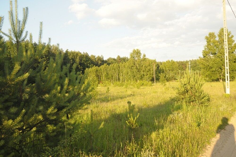 Działka rolno-leśna o pow. 1,45 ha , gm. NAREWKA