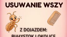 usuwanie wszy i gnid Białystok