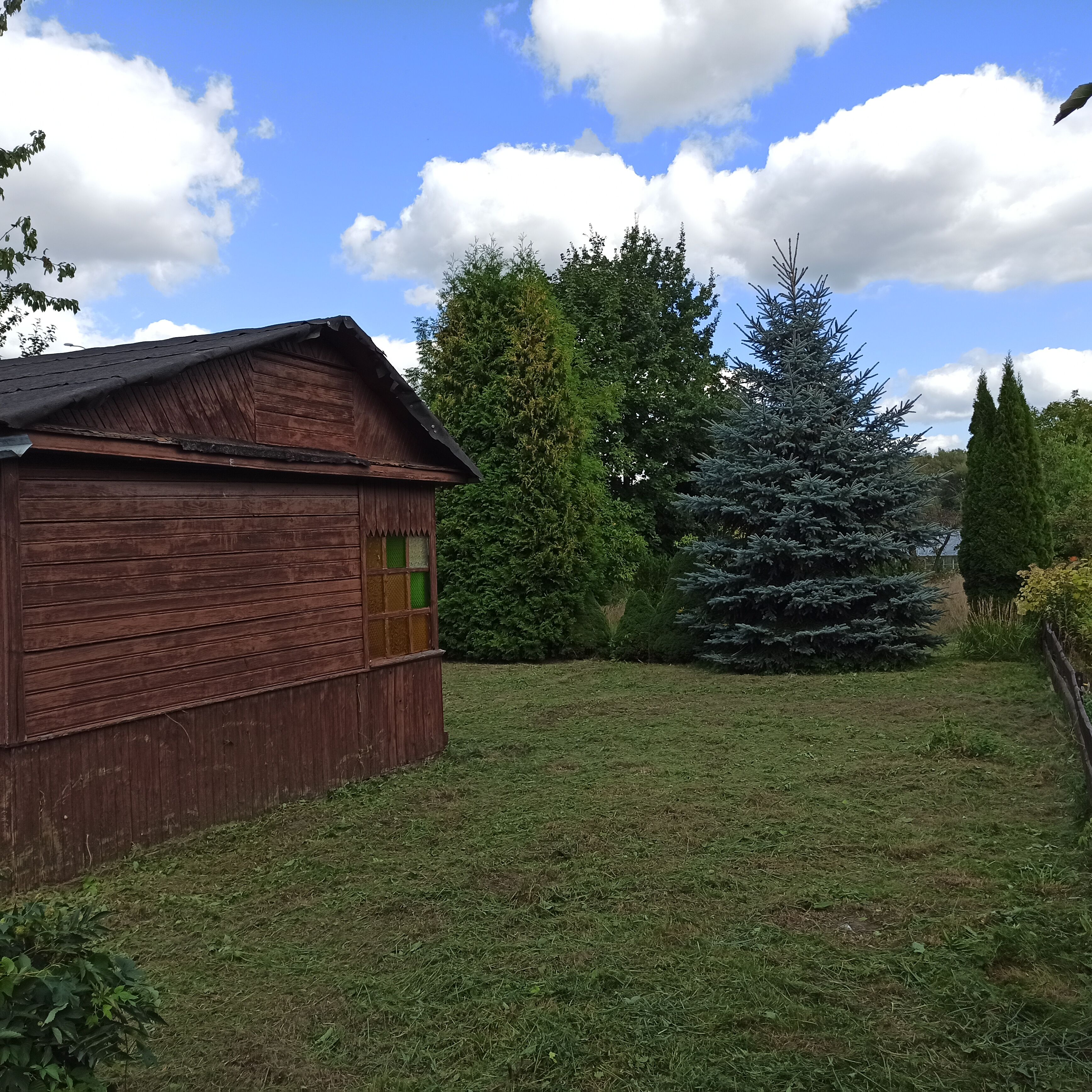 dzialka rekreacyjna  ROD    w    centrum  ok300m