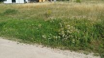 nowe  dzialki  prywatnie    po   1100m  tanio 