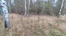 Działka rolna o pow. 1,9 ha, gm. GRÓDEK