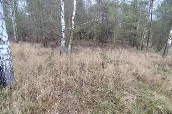 Działka rolna o pow. 1,9 ha, gm. GRÓDEK