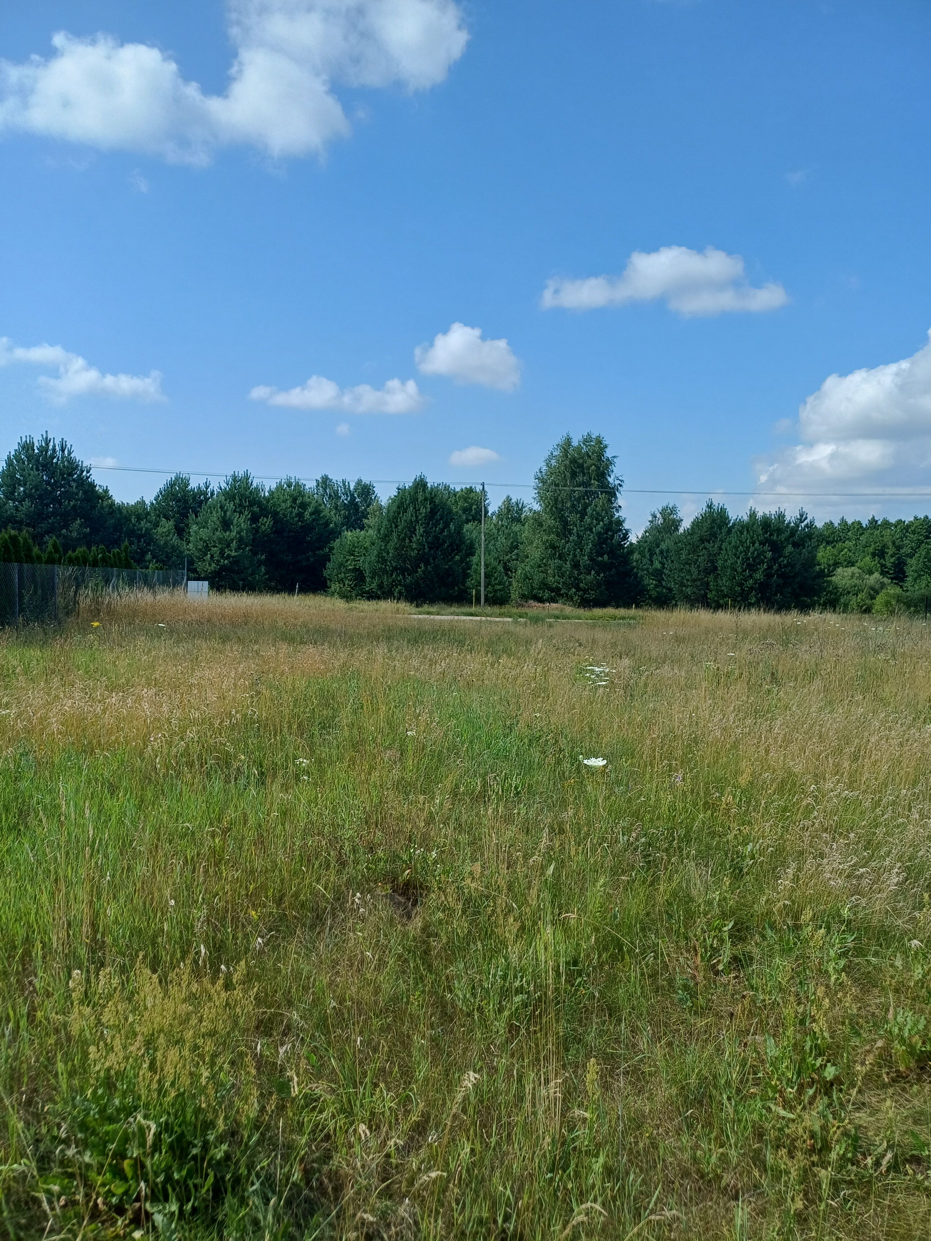 dzialki     