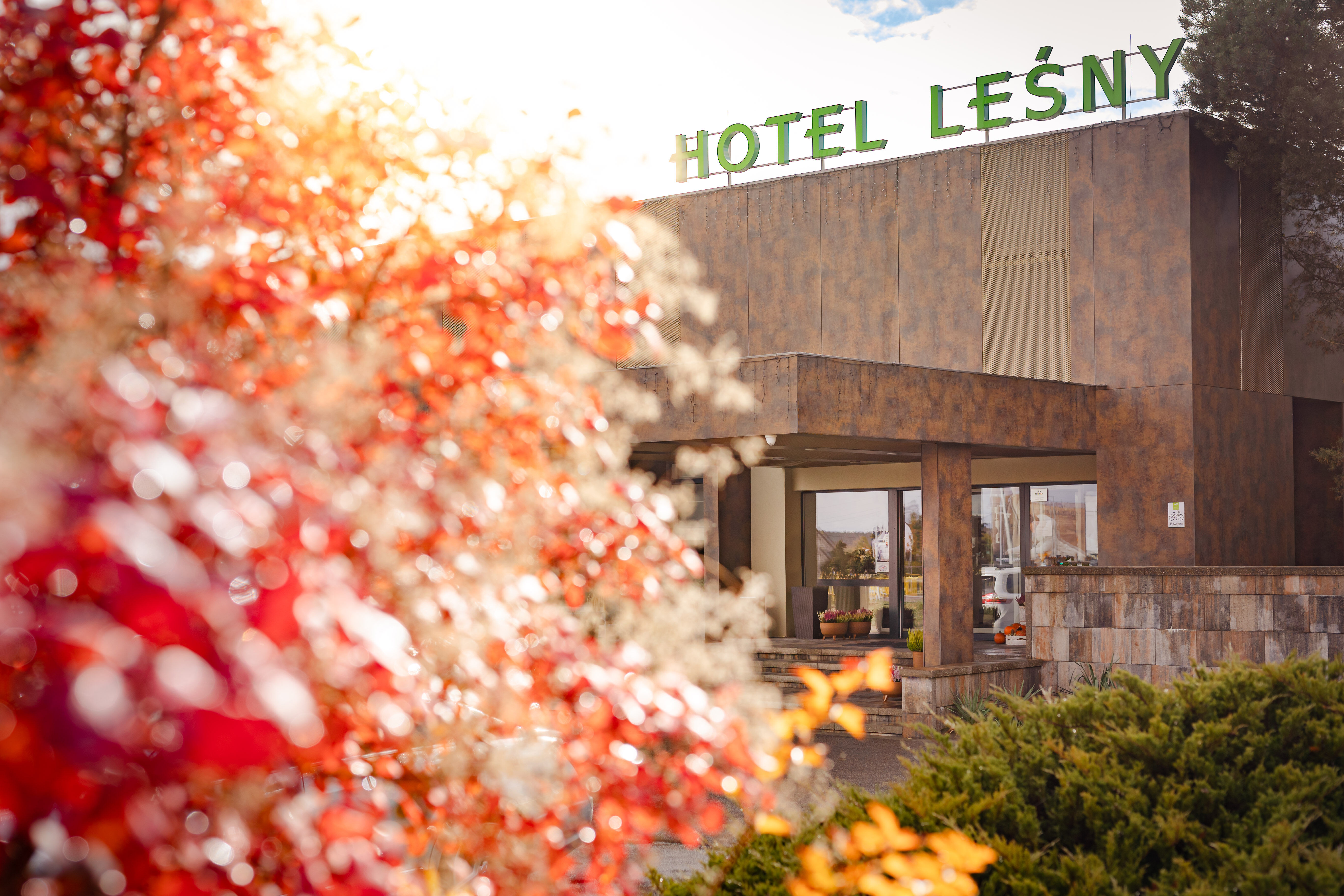 Hotel Leśny zatrudni osobę na stanowisko RECEPCJONISTA/RECEPCJONISTKA
