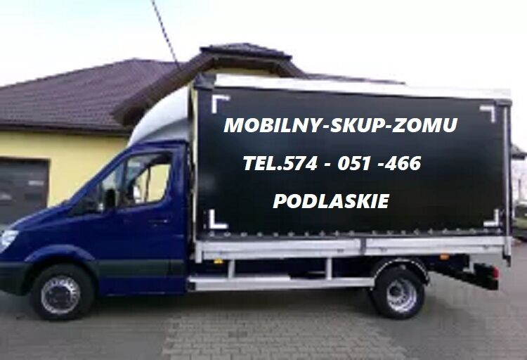 ''' ZŁOM - SKUP - WYWÓZ - CENA KONKURENCYJNA '''