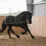 Horse Heaven Ośrodek jazdy konnej i hipoterapii