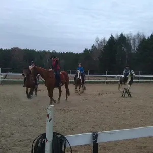 Horse Heaven Ośrodek jazdy konnej i hipoterapii