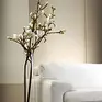 AMS Galeria Mebli