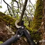 Acer Ogrody - projekty, zakładanie i pielęgnacja ogrodów