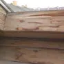 Construo okna i drzwi s.c - serwis okien i drzwi